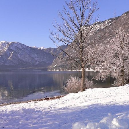 Apartment Cesar Bohinj Rom bilde