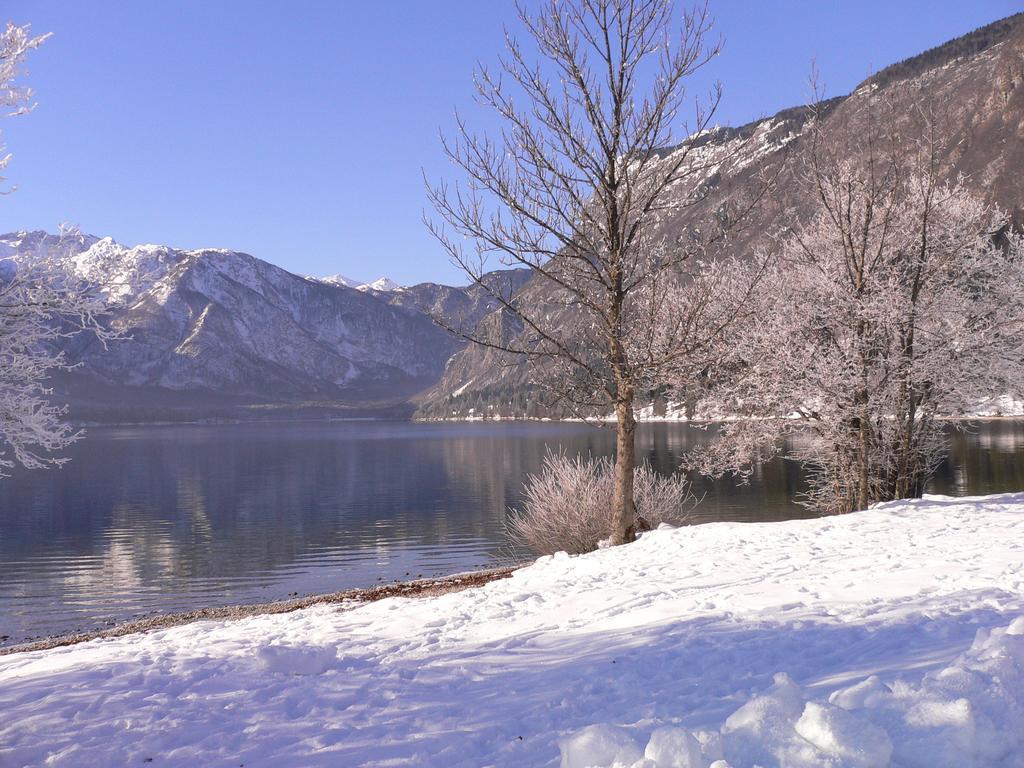Apartment Cesar Bohinj Rom bilde
