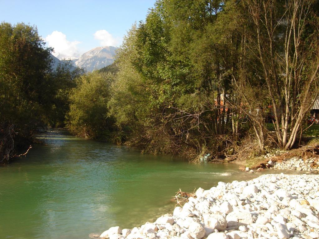 Apartment Cesar Bohinj Rom bilde