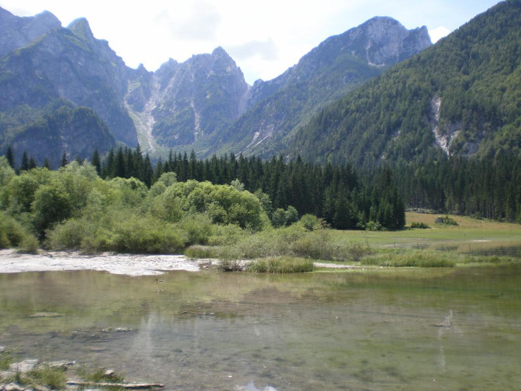 Apartment Cesar Bohinj Rom bilde