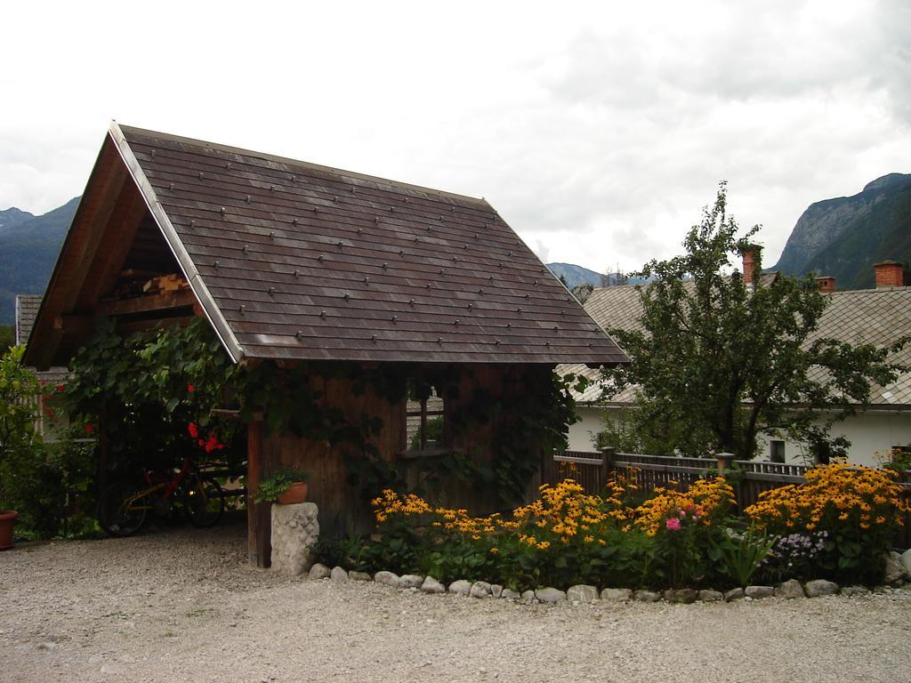 Apartment Cesar Bohinj Rom bilde